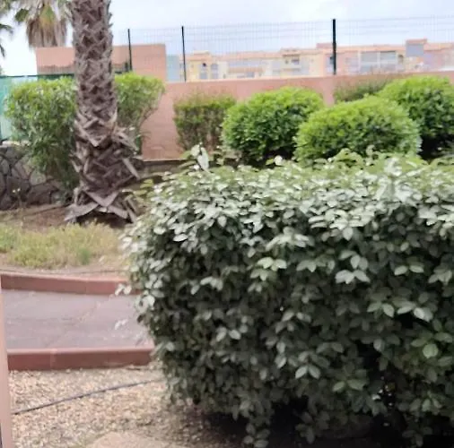 Appartement Location Studio + Loggia Le Cap D'agde 6 Personnes