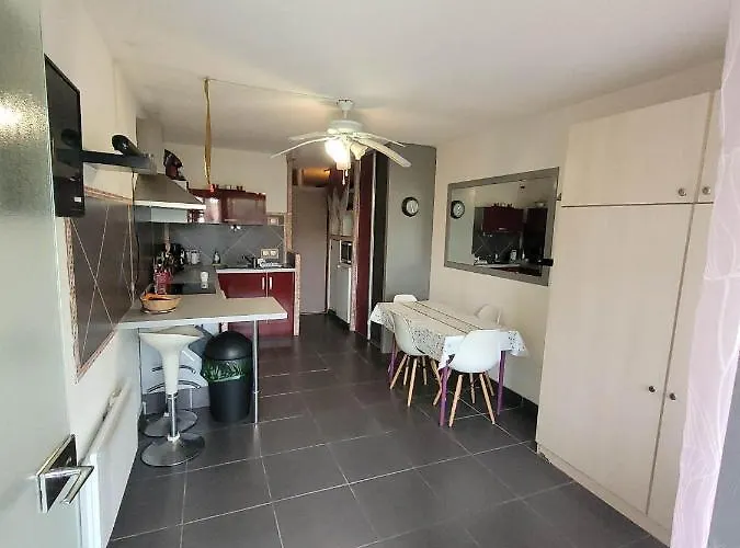 Location Studio + Loggia Le Cap D'agde 6 Personnes Appartement Agde